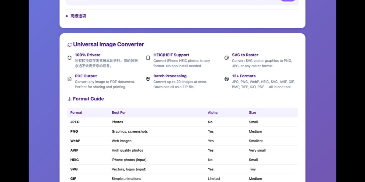 Image format converter tool overview showing upload area, format options, and conversion results